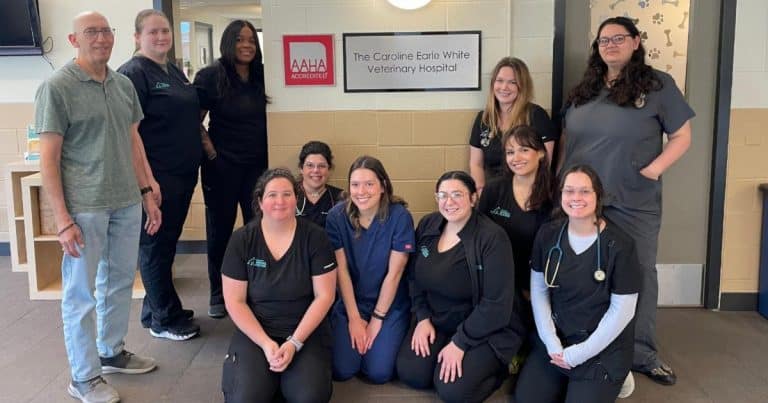 Women’s Animal Center celebrates AAHA accreditation renewal