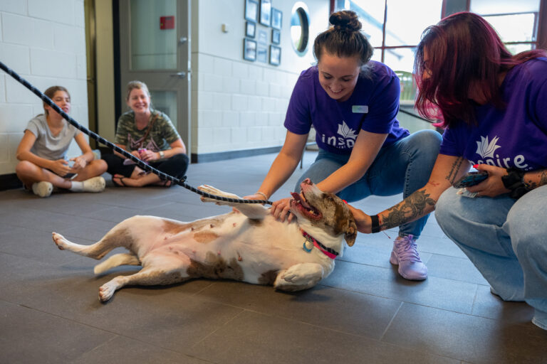 Clear the Shelters in Bensalem was a success