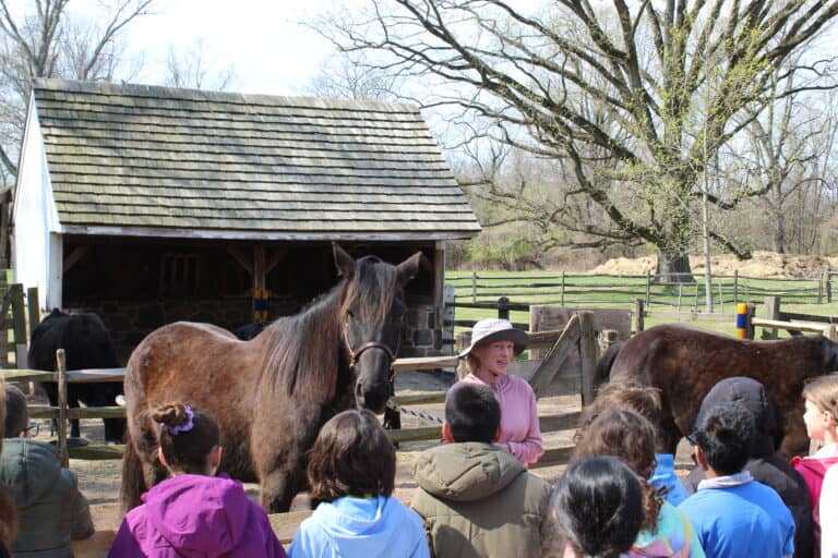 Rescued Racehorse Norway Finds a New Home at Pennsbury Manor