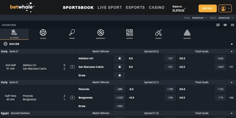 BetWhale Sports USA