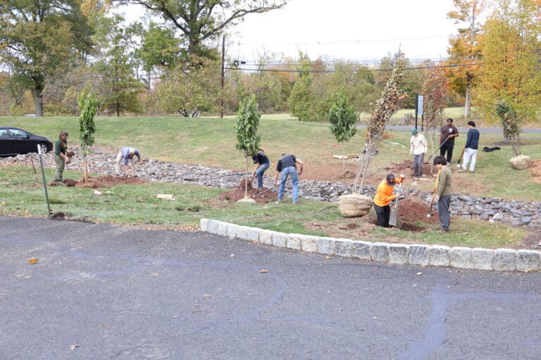 DelVal Receives Healing the Planet Grant for Tree Planting