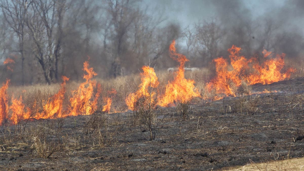 National Weather Service Issues Fire Weather Watch for Bucks County Through Saturday Evening