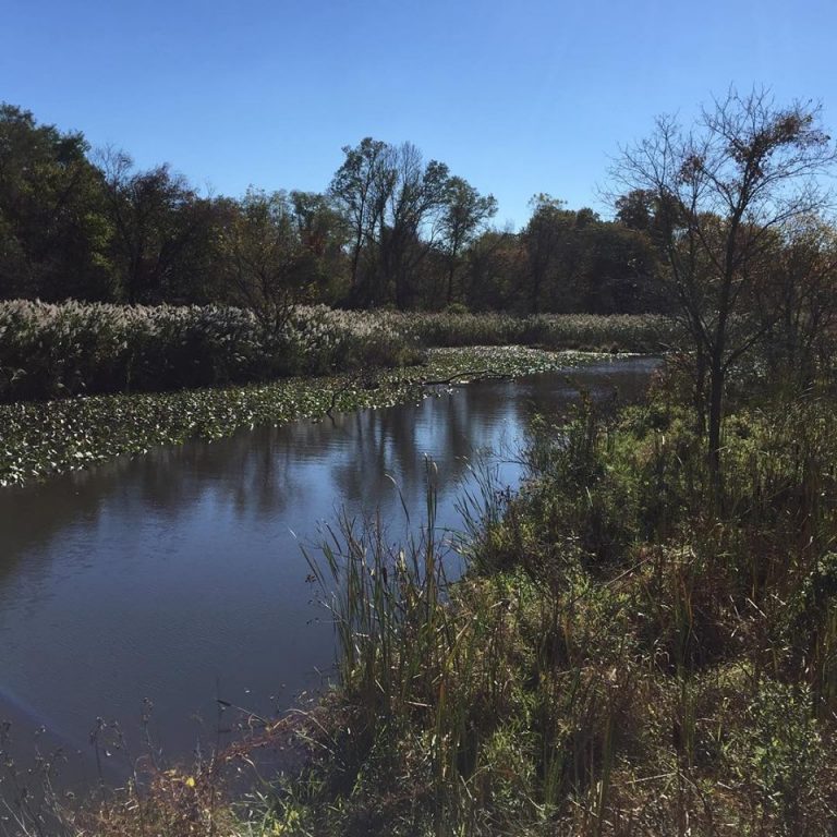 Silver Lake Nature Center announces fall events