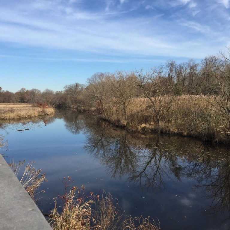 Silver Lake Nature Center announces January events