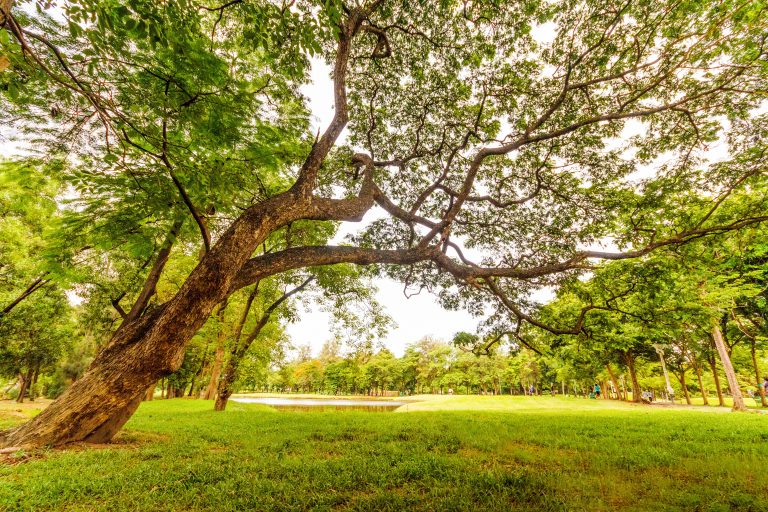 Northampton Township announces park closures