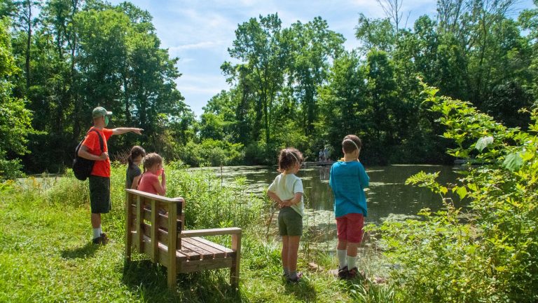 Bucks County Audubon Society announces October events