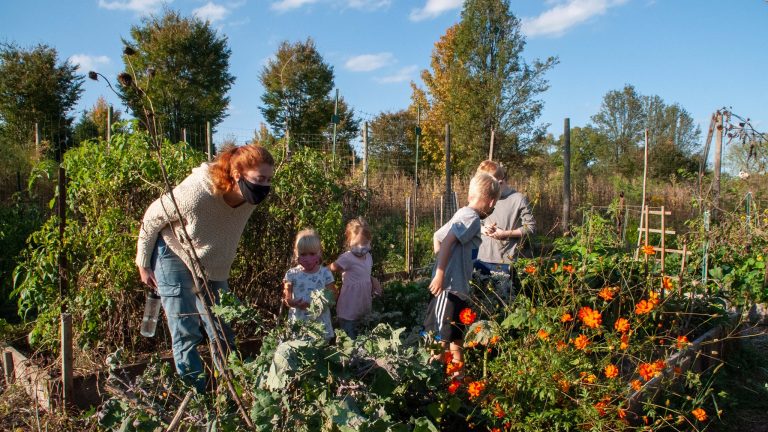 Bucks Audubon Society announces November events