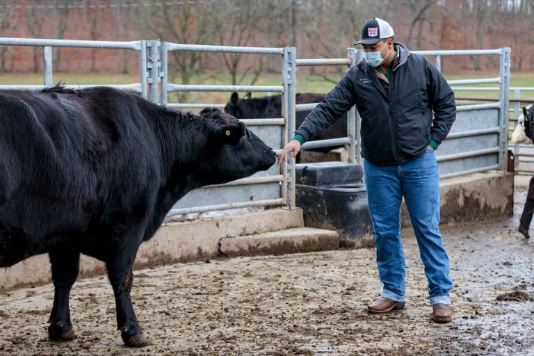 $500,000 available for Ag and Youth Education Program