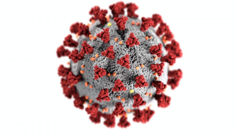 Delayed lab reports inflate COVID cases in Bucks, which last week had an increase of 25 percent