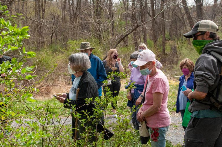 Bucks County Audubon Society announces events