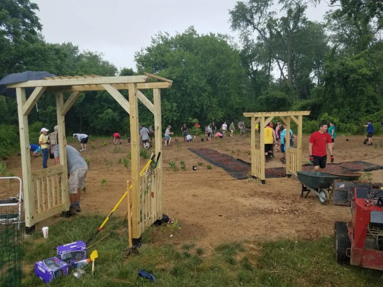 Bensalem student helps bring Monarch Butterfly Garden to Community Park