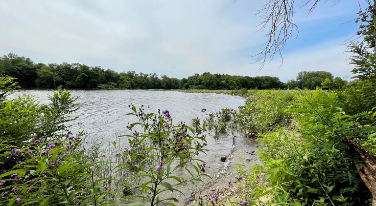 ‘Bristol Marsh’ presentation set for Nov. 17