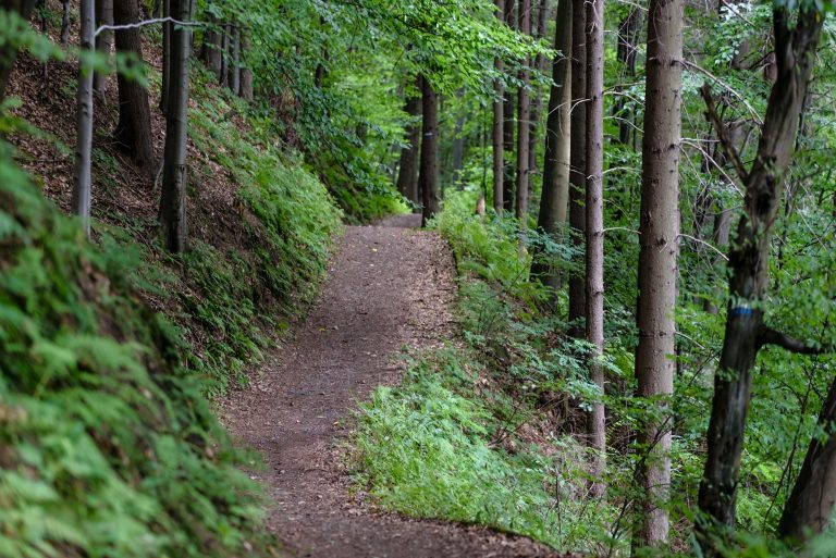 DCNR seeks new members for 2022 Trails Advisory Committee