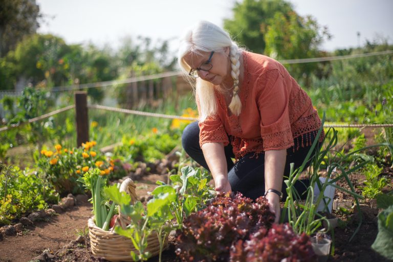 Volunteers needed for Middletown Community Garden Fall Clean Up Day