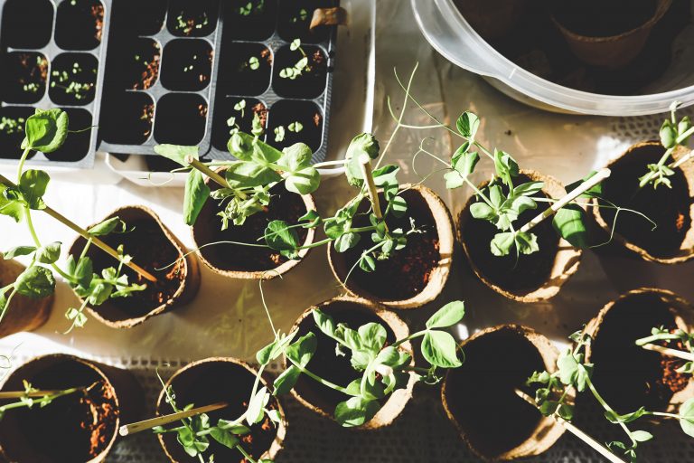 Master Gardeners of Bucks has new home in Newtown