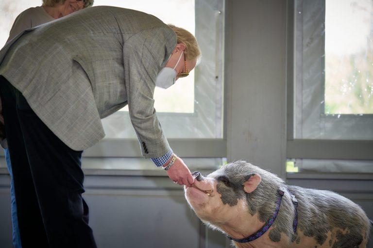 TruMark hosts 11th annual Kiss-A-Pig fundraiser