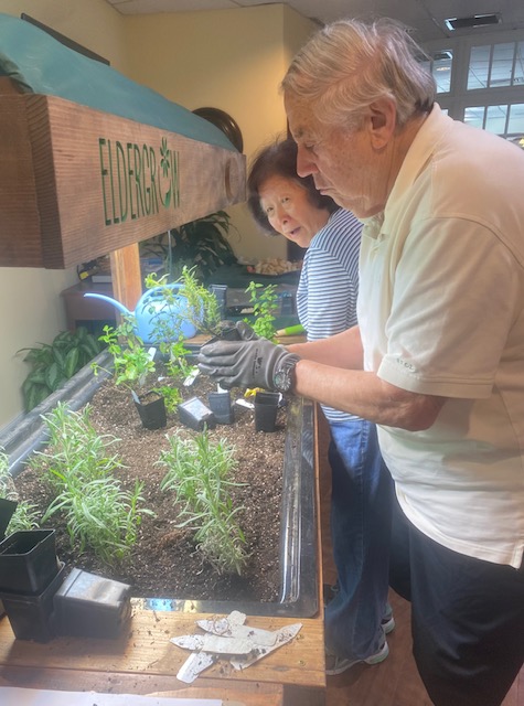 Seniors enjoying nature indoors