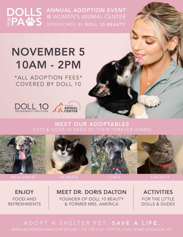 Pet adoption event set for Saturday