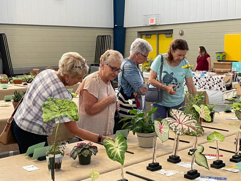 Trevose Horticultural Society marks 100th anniversary