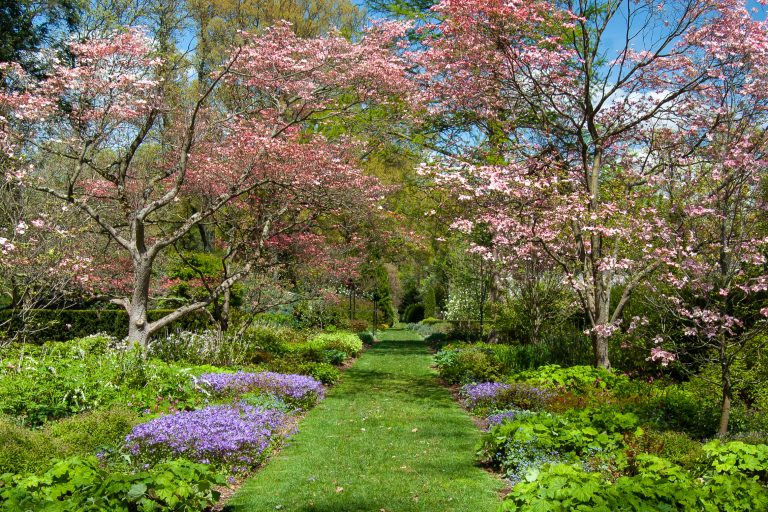 Andalusia is the only Partner Garden of the RHS in America