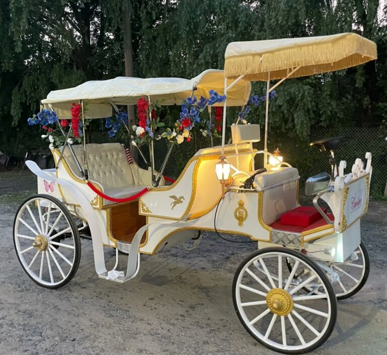 ‘Caroline’ e-carriage to have first public mini tours on Sunday  