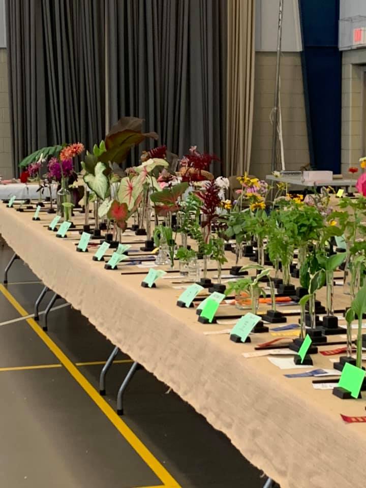 Annual Flower Show set for Aug. 23-24