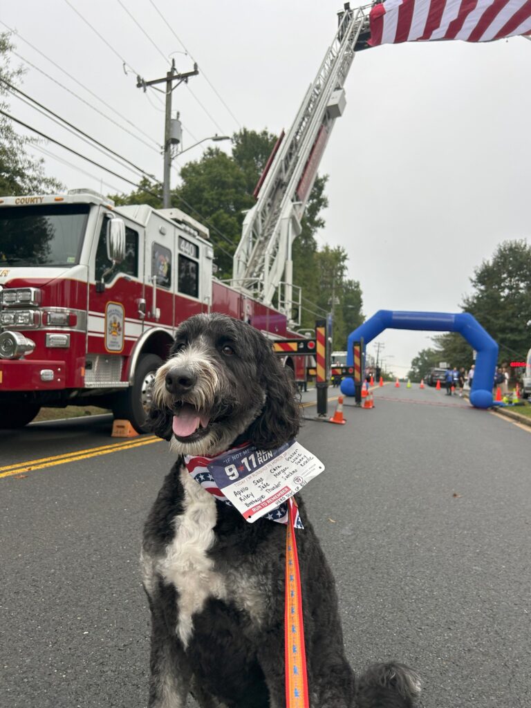 9/11 Heroes Run took place in Feasterville 