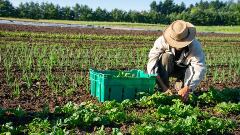 Bucks County Farmland Preservation Program Expands with New Initiative