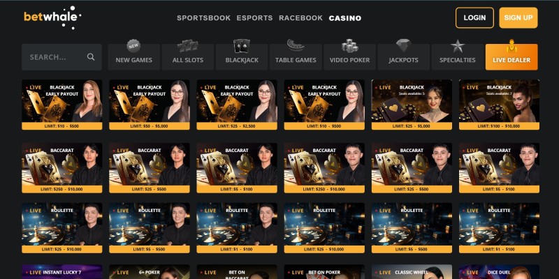 Betwhale Casino Live