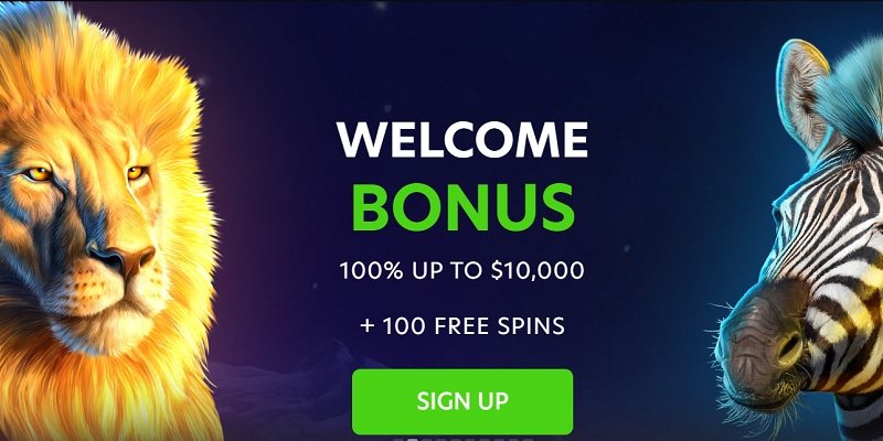 Neospin Casino Poker AU