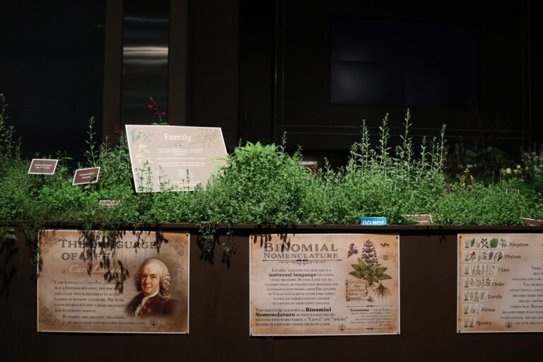 DelVal Returns for 2026 Philadelphia Flower Show