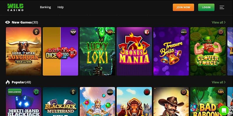 Wild Casino roulette